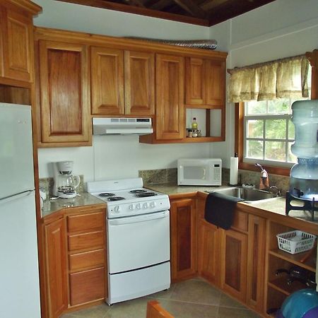 Cocotal Inn And Cabanas سان بيدرو الغرفة الصورة