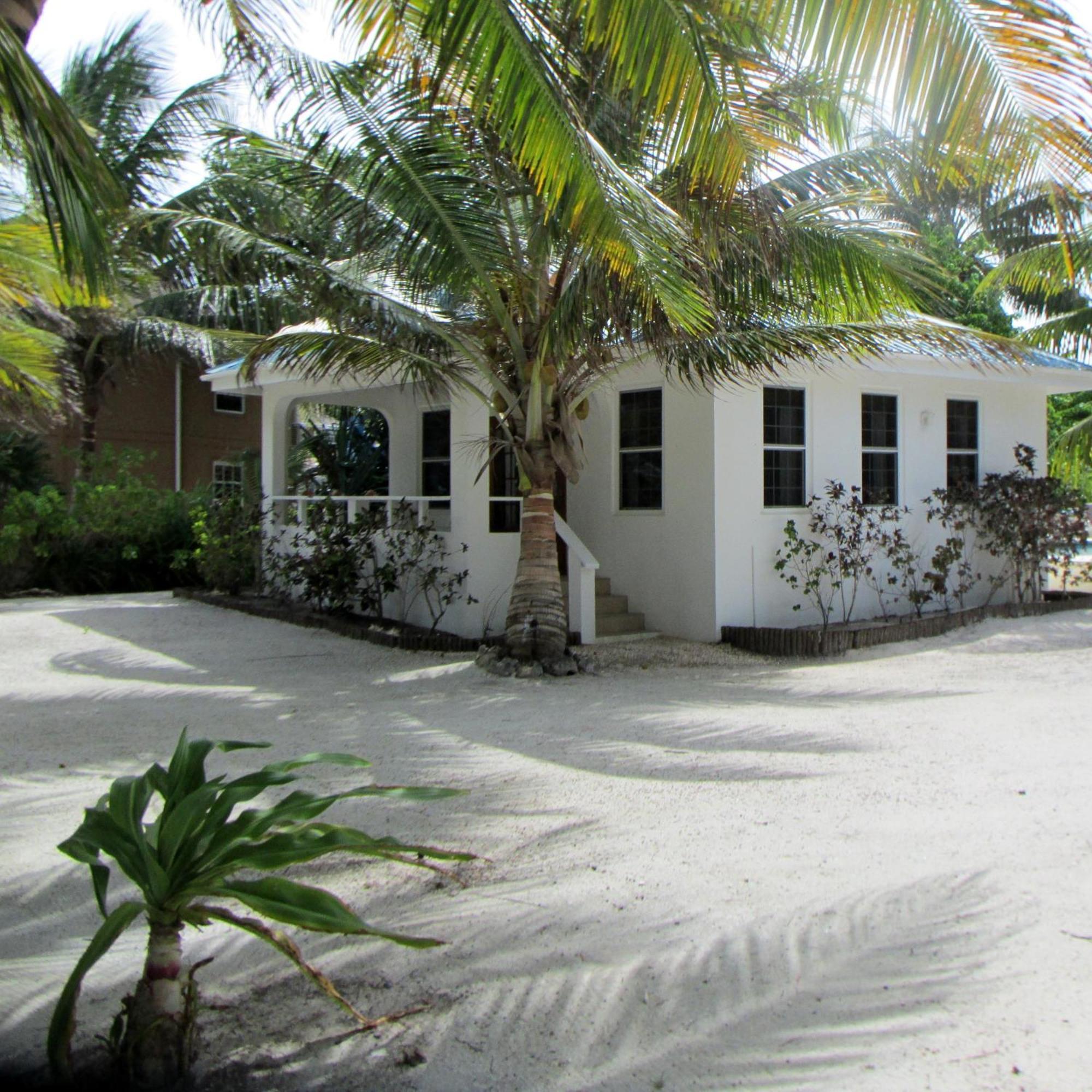 Cocotal Inn And Cabanas سان بيدرو الغرفة الصورة