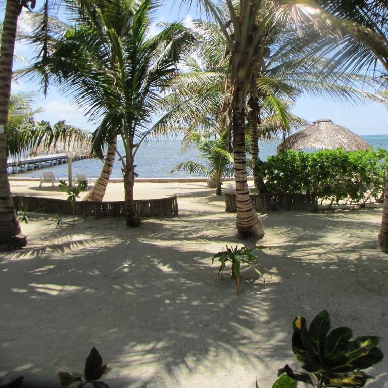 Cocotal Inn And Cabanas سان بيدرو المظهر الخارجي الصورة