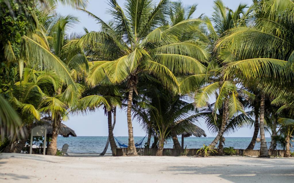 Cocotal Inn And Cabanas سان بيدرو المظهر الخارجي الصورة